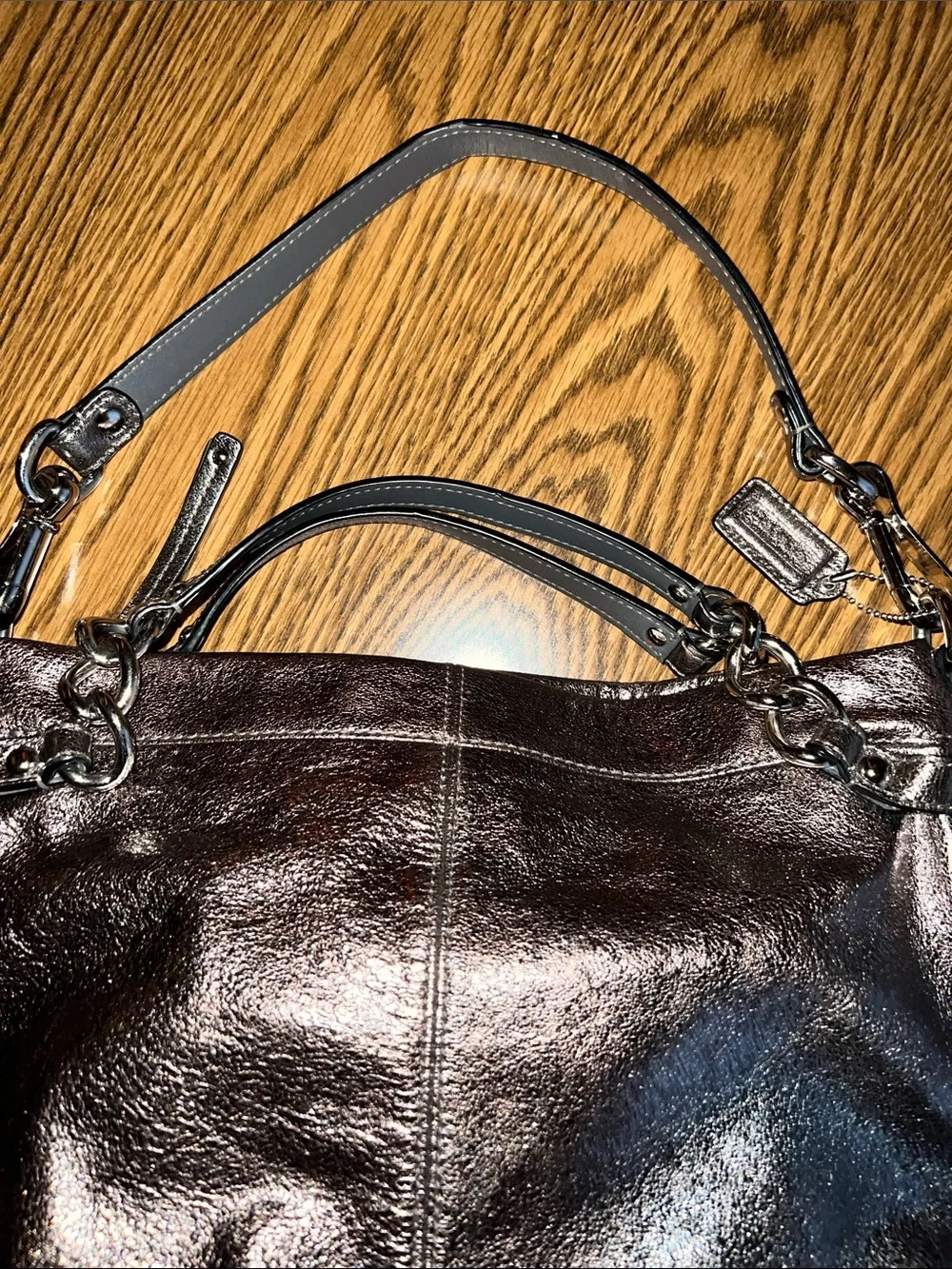 Coach Metallic Brooke Leather Pewter Hobo Bag
